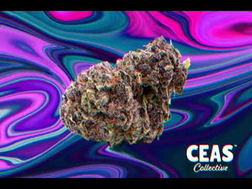 Ayahuasca 7g - CEAS