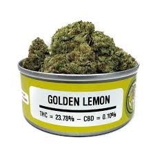 Golden Lemon - Space Monkey Meds