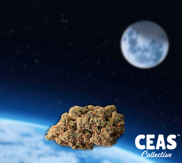 Outer Space 3.5g - CEAS