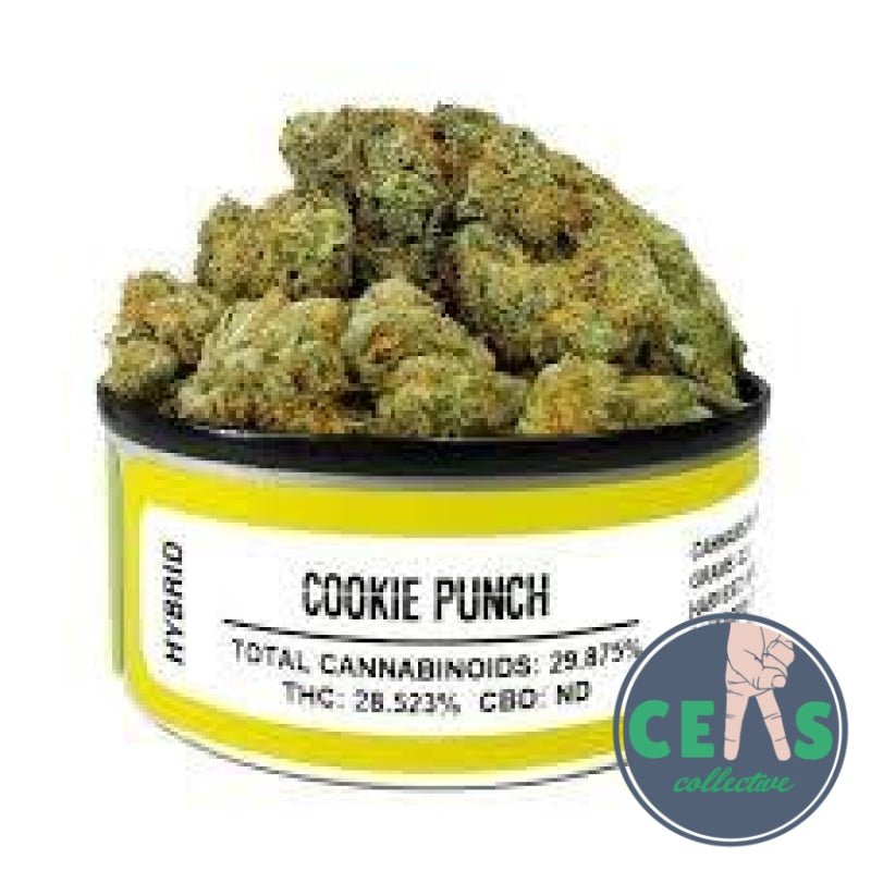 Cookie Punch - Space Monkey Meds