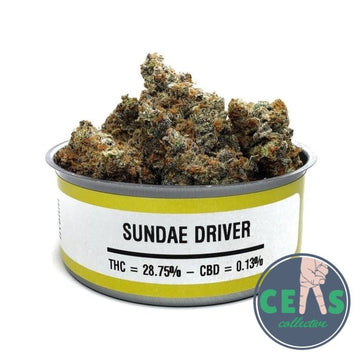 Sundae Driver