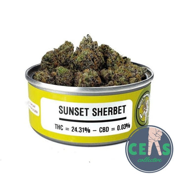 Sunset Sherbert - Space Monkey Meds