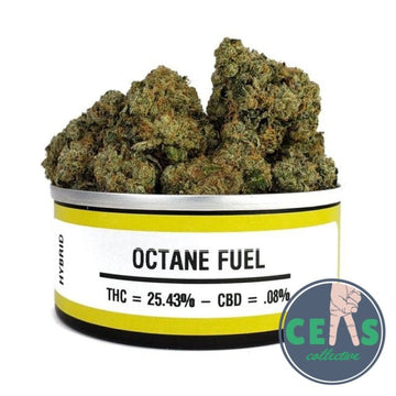 Octane Fuel- Space Monkey Meds