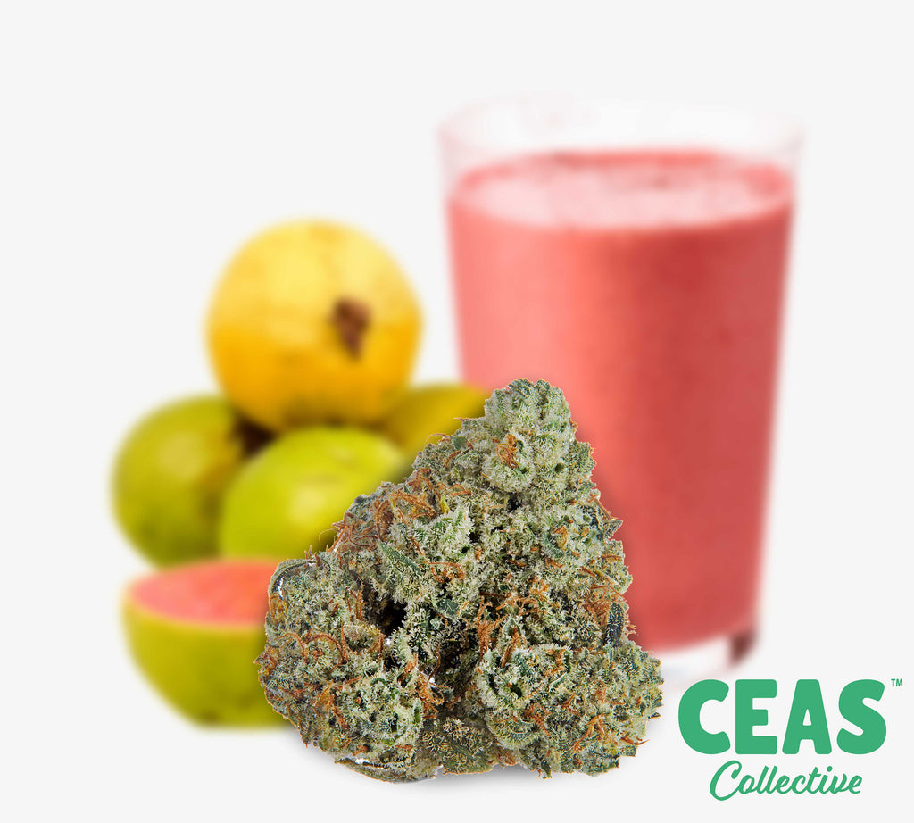 Guava Juice - CEAS