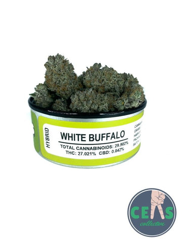 White Buffalo