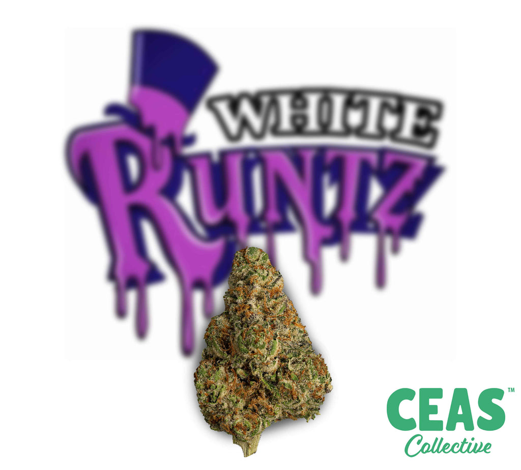 White Runtz 7g - CEAS