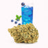 Lucy Blue | CEAS | Delivery 