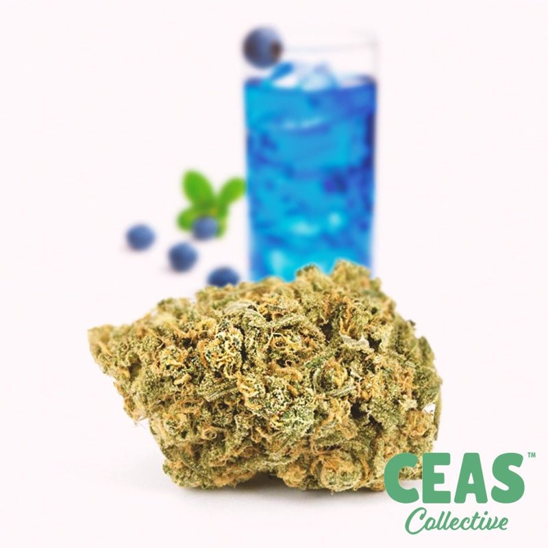 Lucy Blue | CEAS | Delivery 
