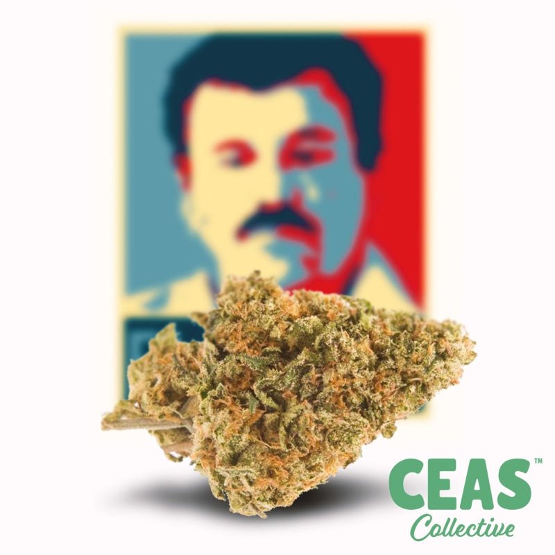 El Chapo OG | CEAS