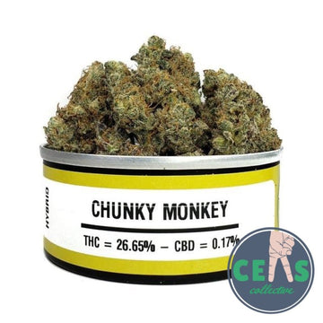 Chunky Monkey - Space Meds