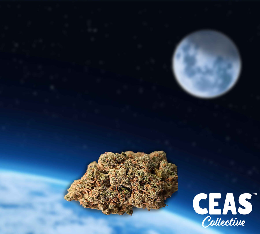 Outer Space 7g - CEAS