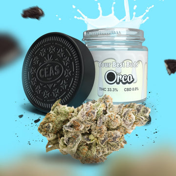 Oreo - CEAS Exotics