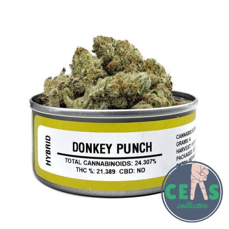 Donkey Punch - Space Monkey Meds