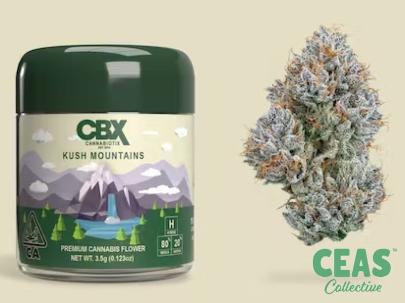 Kush Mountains 3.5g - Cannabiotix | CEAS