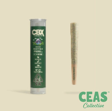 Kush Mountains Prerolls 0.75g - Cannabiotix | CEAS