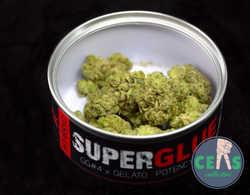 Super Glue - Ceas Exotics