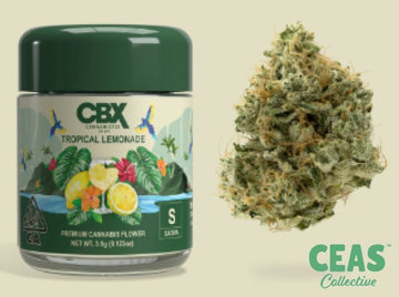 Tropical Lemonade 3.5g - Cannabiotix | CEAS