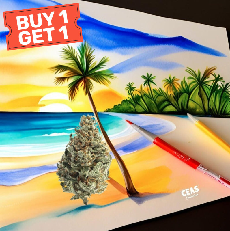 Tropical Runtz 7g - CEAS