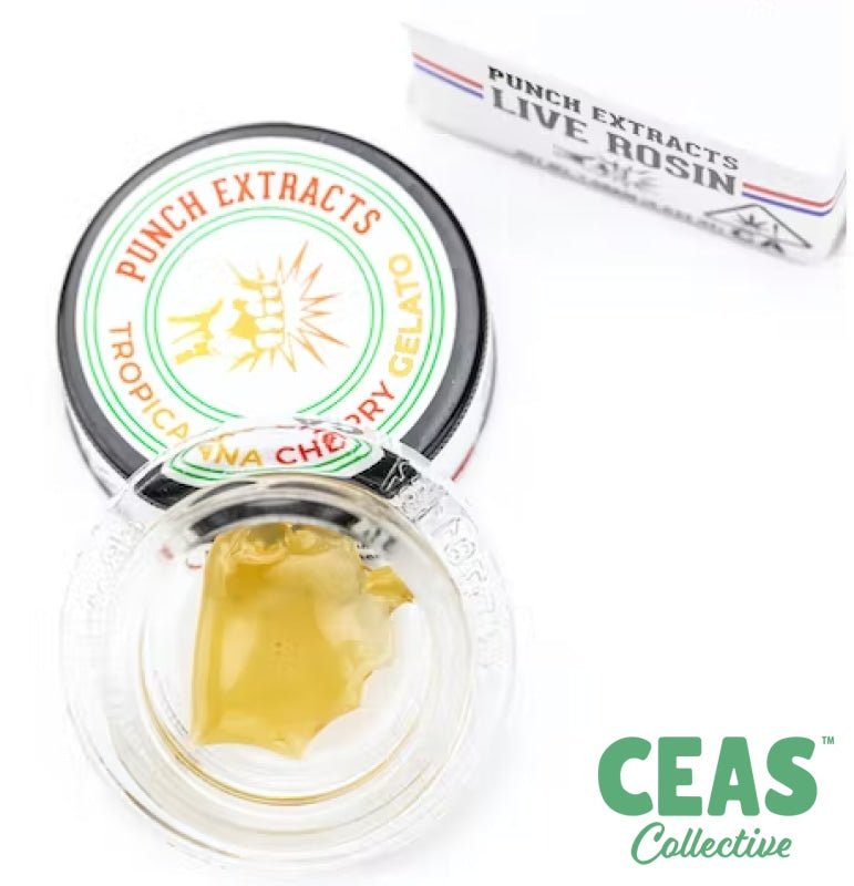 Tropicana Cherry Gelato - Tier 4 Live Rosin - Punch Extracts