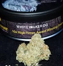 White Walker OG - Gold Coast