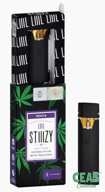 Liiil Stiiizy - White Raspberry 0.5G Disposable